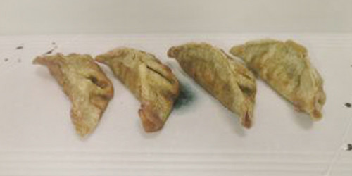 GYOZA DE POLLO AL CURRY FRITAS.